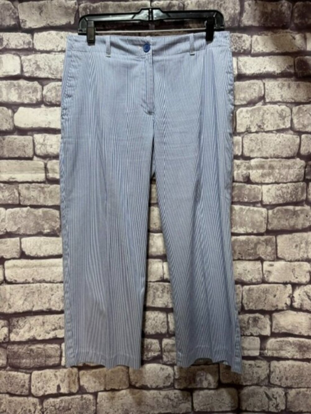 Talbots Blue & White Stripe Crop Pants Size 6